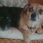 Ersteller:in Mareike Profilbild