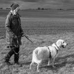 Ersteller:in anke Profilbild