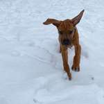 Ersteller:in Miriam Profilbild