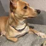 Ersteller:in Sophie Profilbild