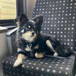 Ersteller:in Lena Profilbild