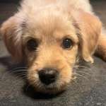 Ersteller:in Hamed Profilbild