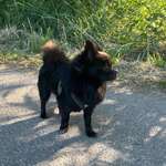 Ersteller:in Mara Profilbild