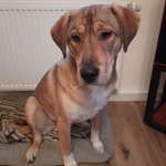 Ersteller:in Theres Profilbild