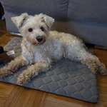 Ersteller:in Elli Profilbild