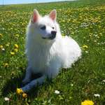 Ersteller:in Lara Profilbild