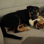 Ersteller:in Fiona Profilbild