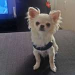 Ersteller:in Meli Profilbild