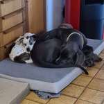 Ersteller:in Melanie Profilbild