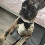 Ersteller:in Christine Profilbild