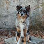 Ersteller:in Anika Profilbild