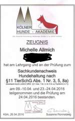 Hundetrainer Paragraph 11-Beitrag-Bild