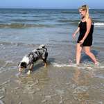 Ersteller:in Laura Profilbild