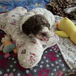 Ersteller:in Dean1991 Profilbild