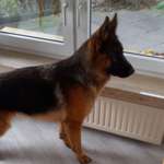 Ersteller:in Ull Profilbild