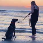 Ersteller:in Michelle Profilbild