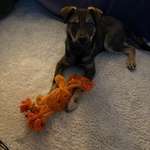 Ersteller:in Jessica Profilbild