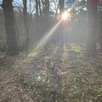 Ersteller:in Sandra Profilbild