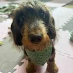 Ersteller:in Ann Profilbild