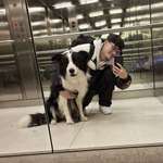 Ersteller:in Lion Profilbild