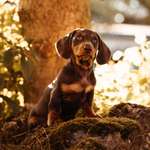 Ersteller:in Sophia Profilbild