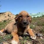 Ersteller:in Tami Profilbild