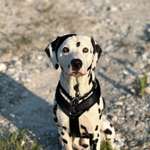 Ersteller:in Ana Profilbild