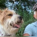 Ersteller:in Josef Profilbild