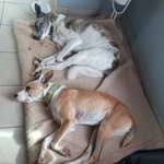 Ersteller:in Sabrina Profilbild