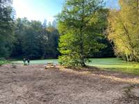 Hundeauslaufgebiet-Hundestrandbad Wingst-Bild
