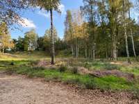 Hundeauslaufgebiet-Hundestrandbad Wingst-Bild