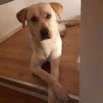 Ersteller:in Milari Profilbild