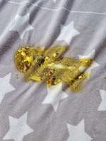 Unser Hund frisst seit ein paar Tagen nichts-Beitrag-Bild