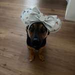Ersteller:in Ally Profilbild