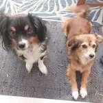 Ersteller:in Sarah Profilbild