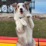 Ersteller:in Monique‘s Profilbild