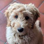 Ersteller:in Kyra Profilbild