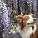 Ersteller:in Lea Profilbild