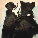 Ersteller:in Jay Profilbild