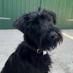 Ersteller:in Ferdinand 59 Profilbild