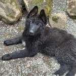 Ersteller:in Amalia Profilbild