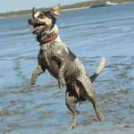 Ersteller:in Nikki Profilbild