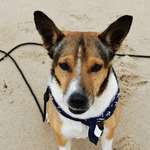 Ersteller:in Annette Profilbild