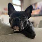 Ersteller:in Torsten Profilbild