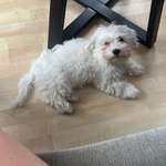 Ersteller:in Isabel Profilbild