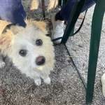 Ersteller:in Melanie Profilbild