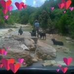 Ersteller:in Marion Profilbild