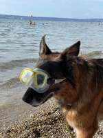 Meine Lieblings Wasser Momente-Beitrag-Bild