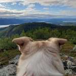 Ersteller:in Tanja Profilbild