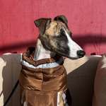 Ersteller:in Vasyl Profilbild